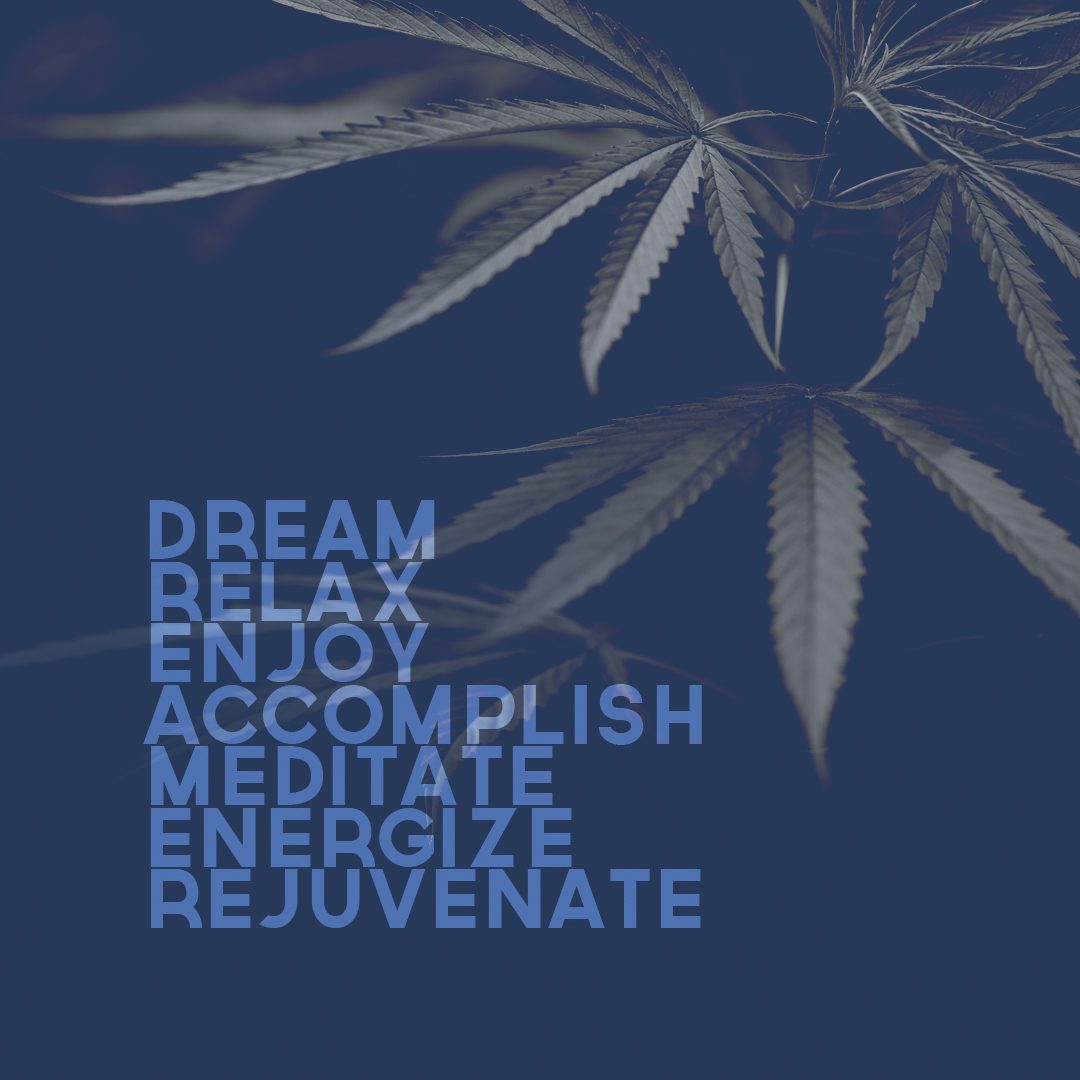 DIF Design Project - Dreamer Cannabis logo and brand identity